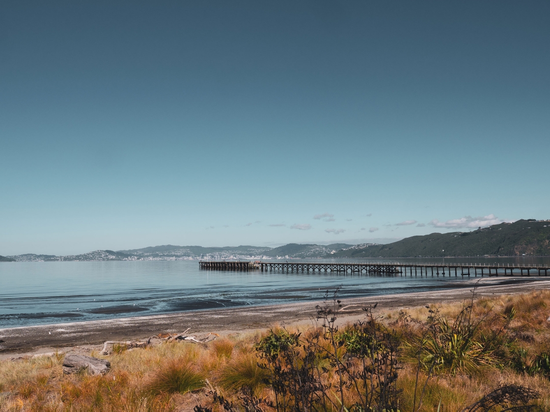 Lower Hutt