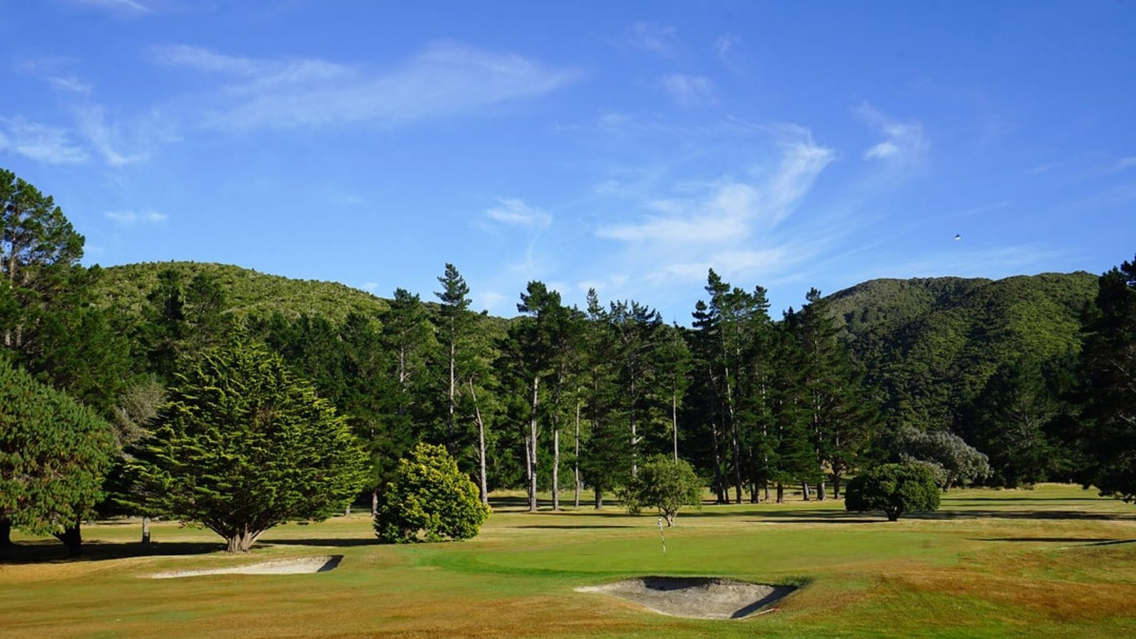 Wainuiomata 4
