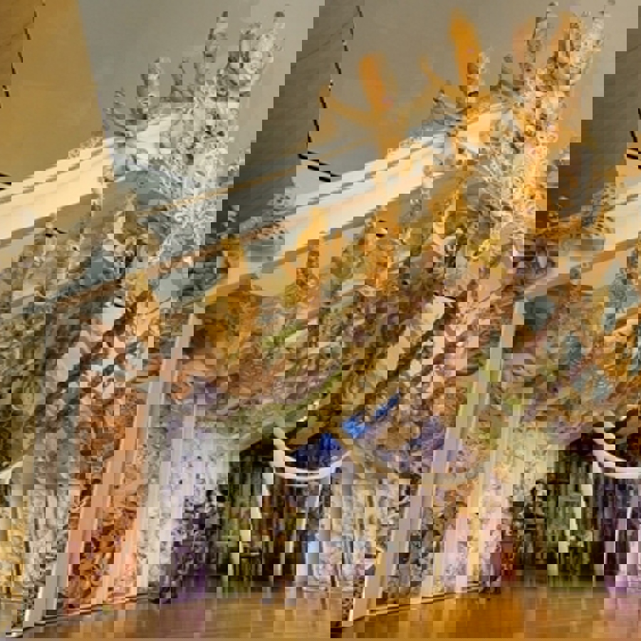 Explore 2 / See & Do 3