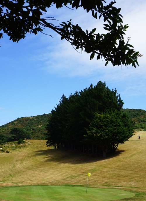 Mornington