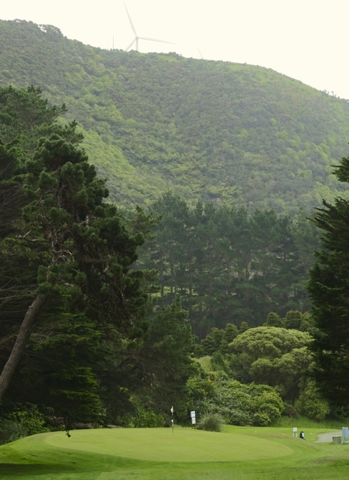 Karori
