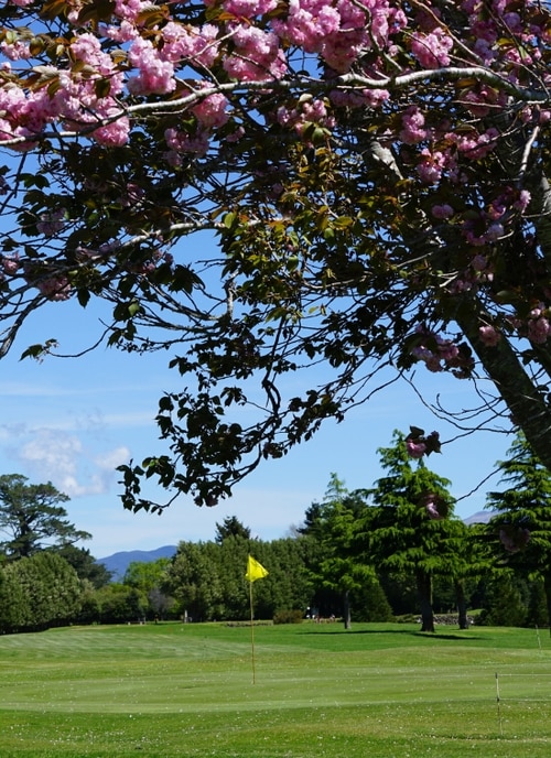Eketahuna