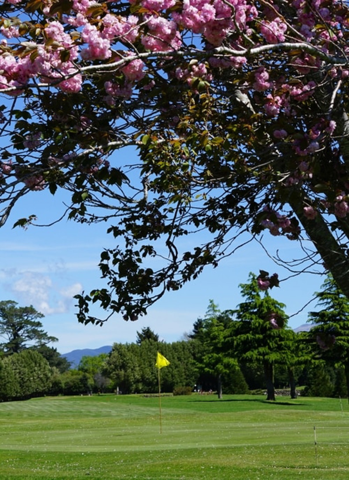 Eketahuna / 1