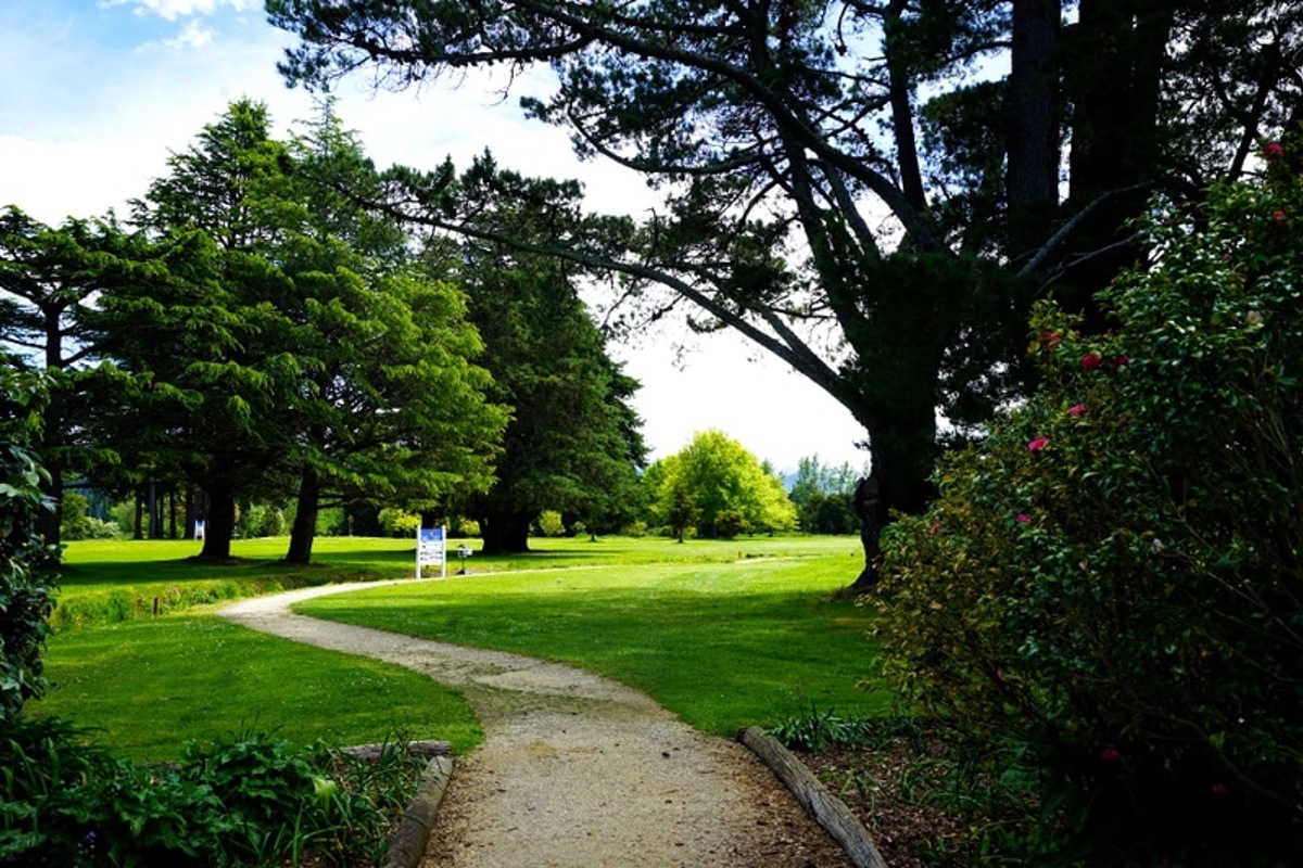 Carterton 1