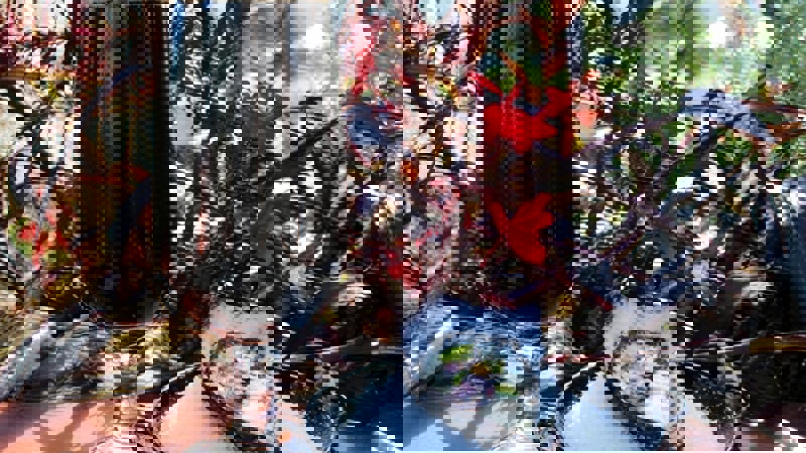 Explore 2 / Eat & Drink 1