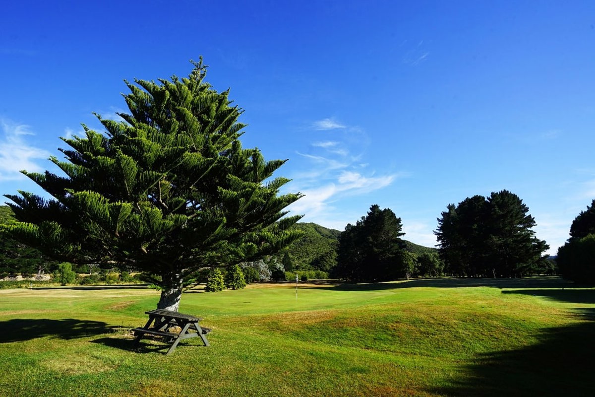 Wainuiomata 1
