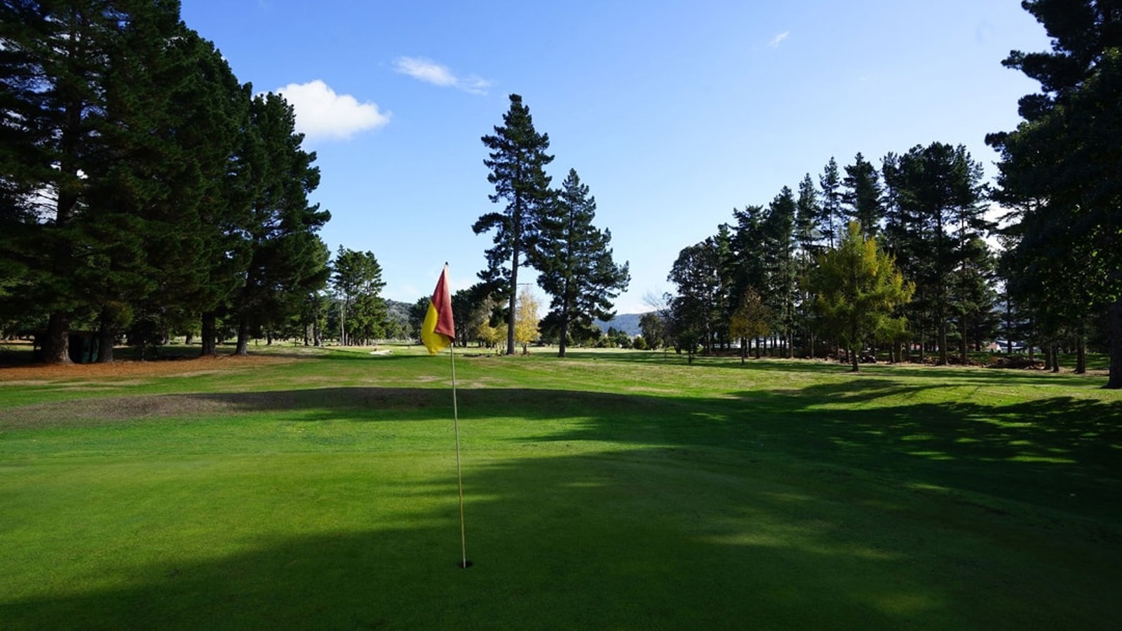Trentham 3