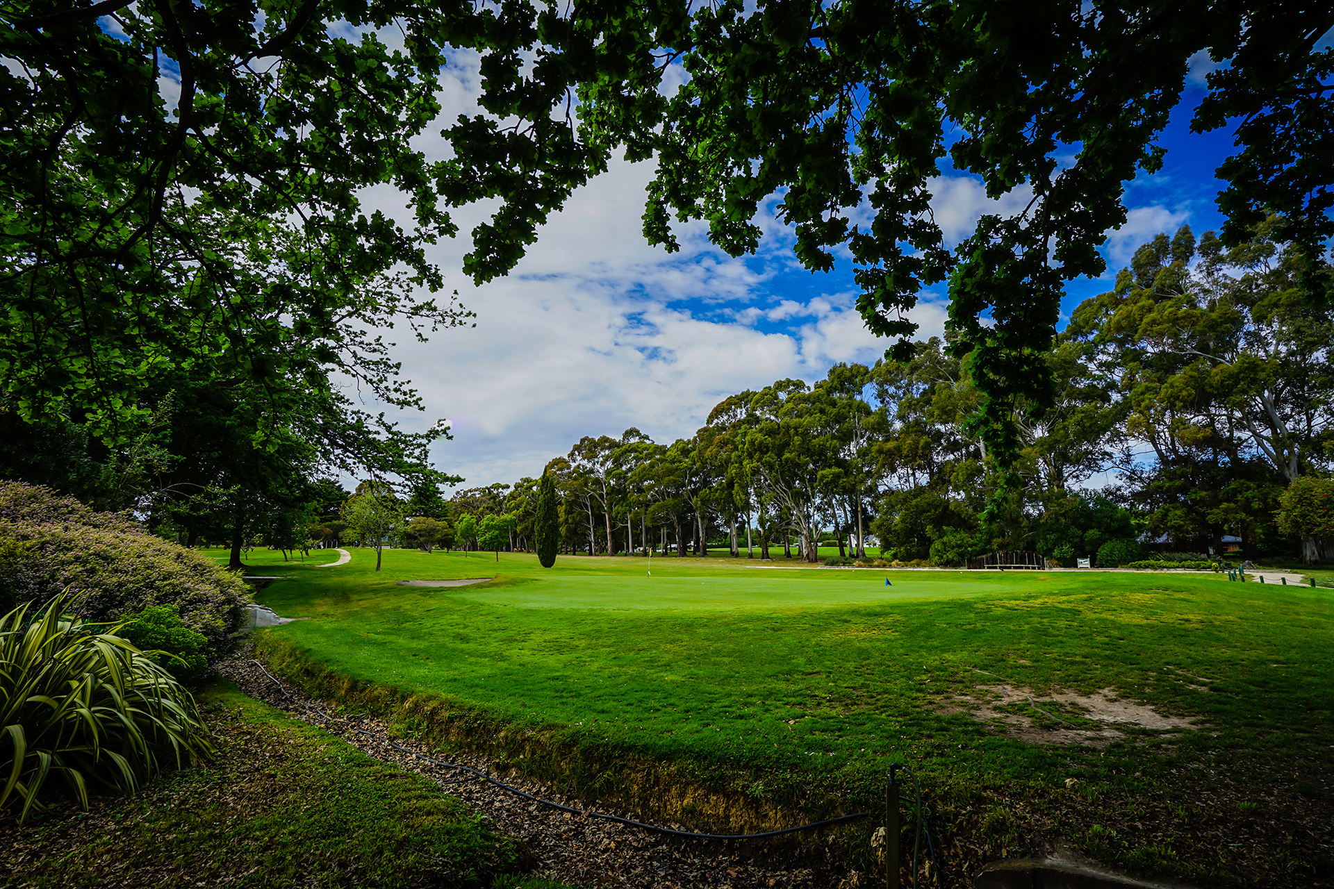Martinborough