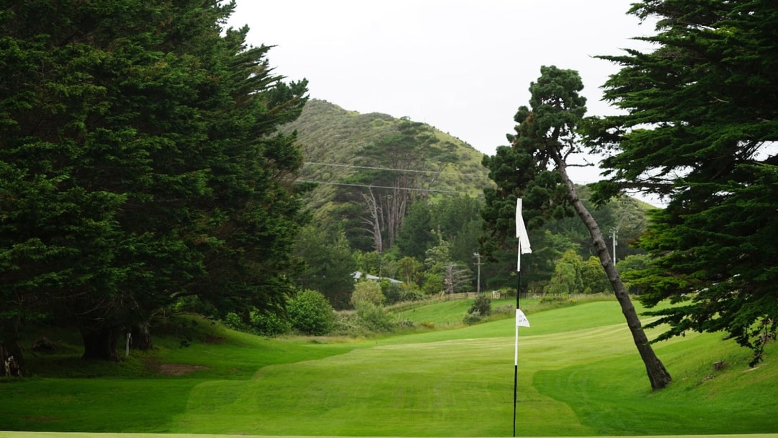 Karori 3