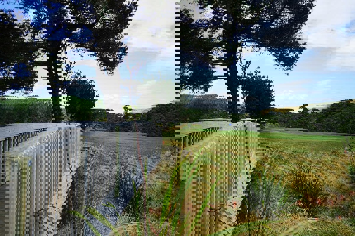 Morgans 3 / History 1