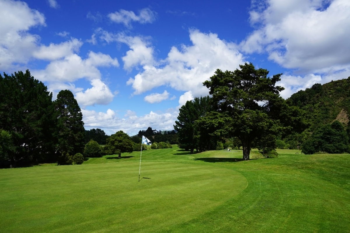 Te Marua 1