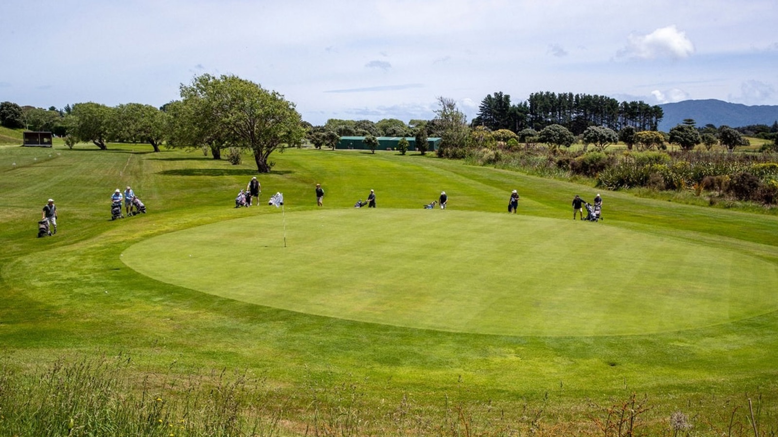 Waikanae 5