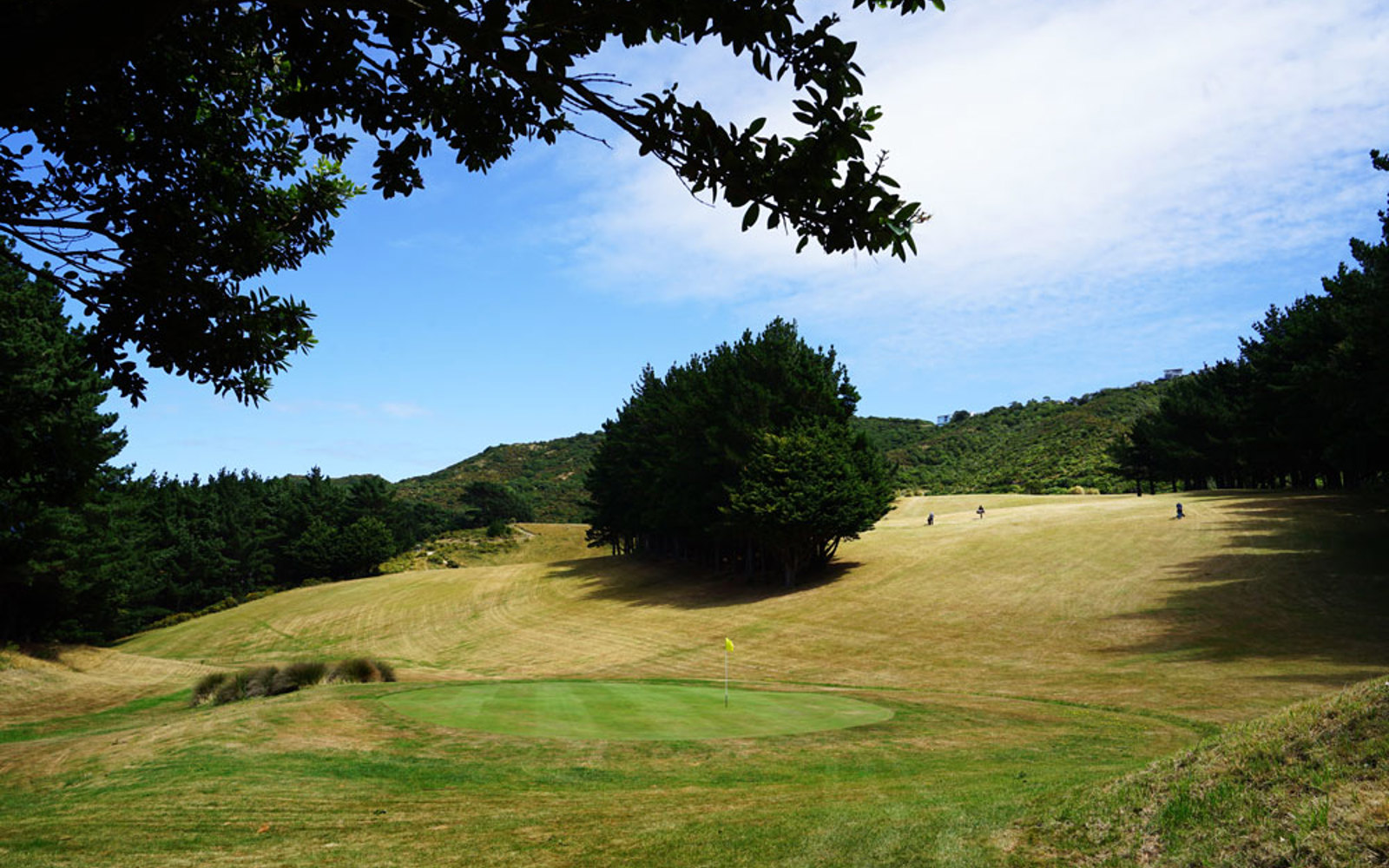 Frisbee Golf Berhampore
