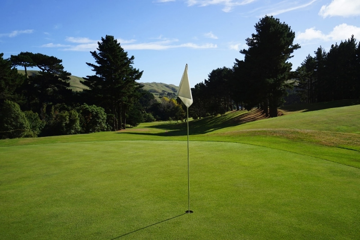 Ohariu 1