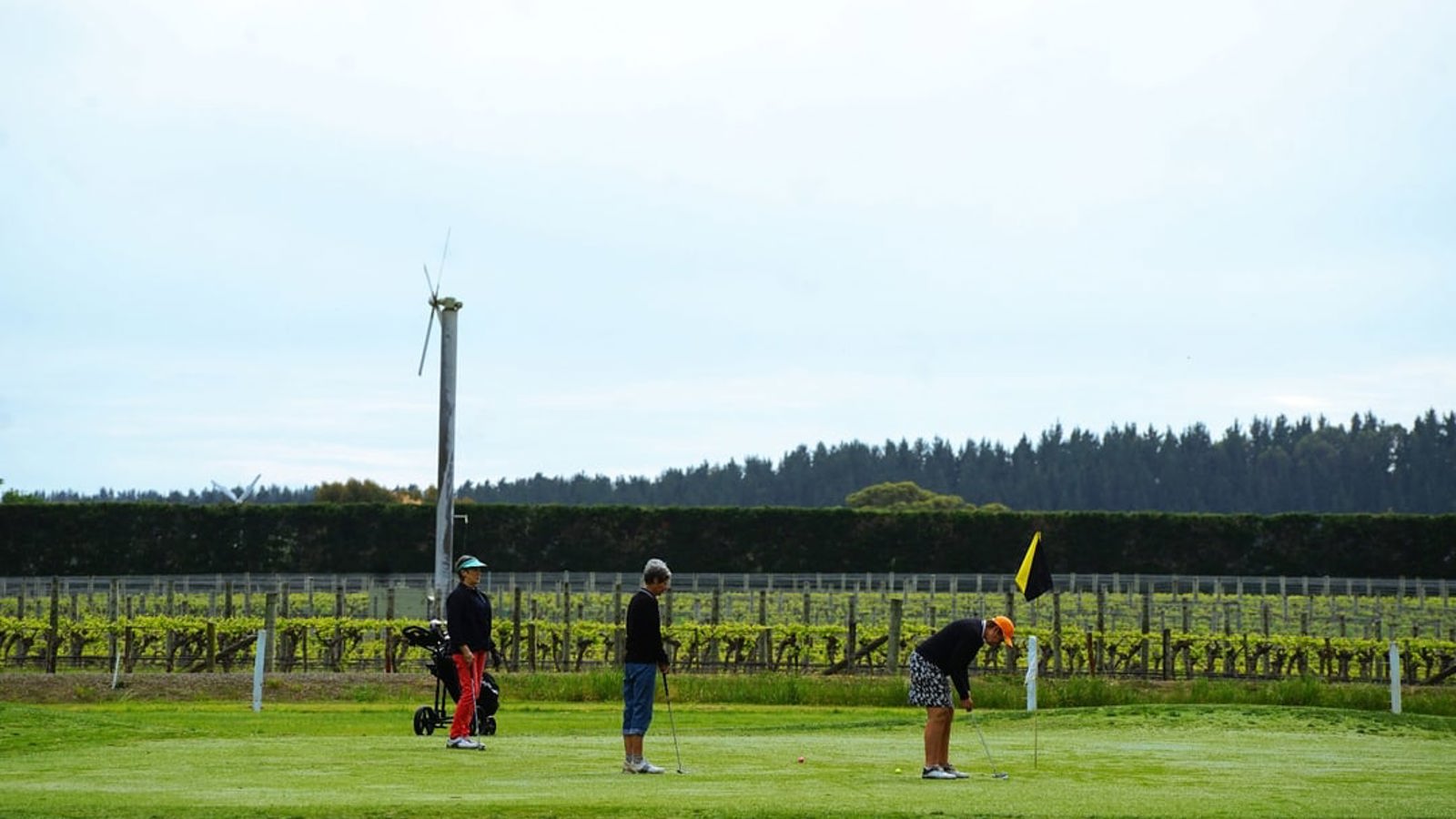 Martinborough 3