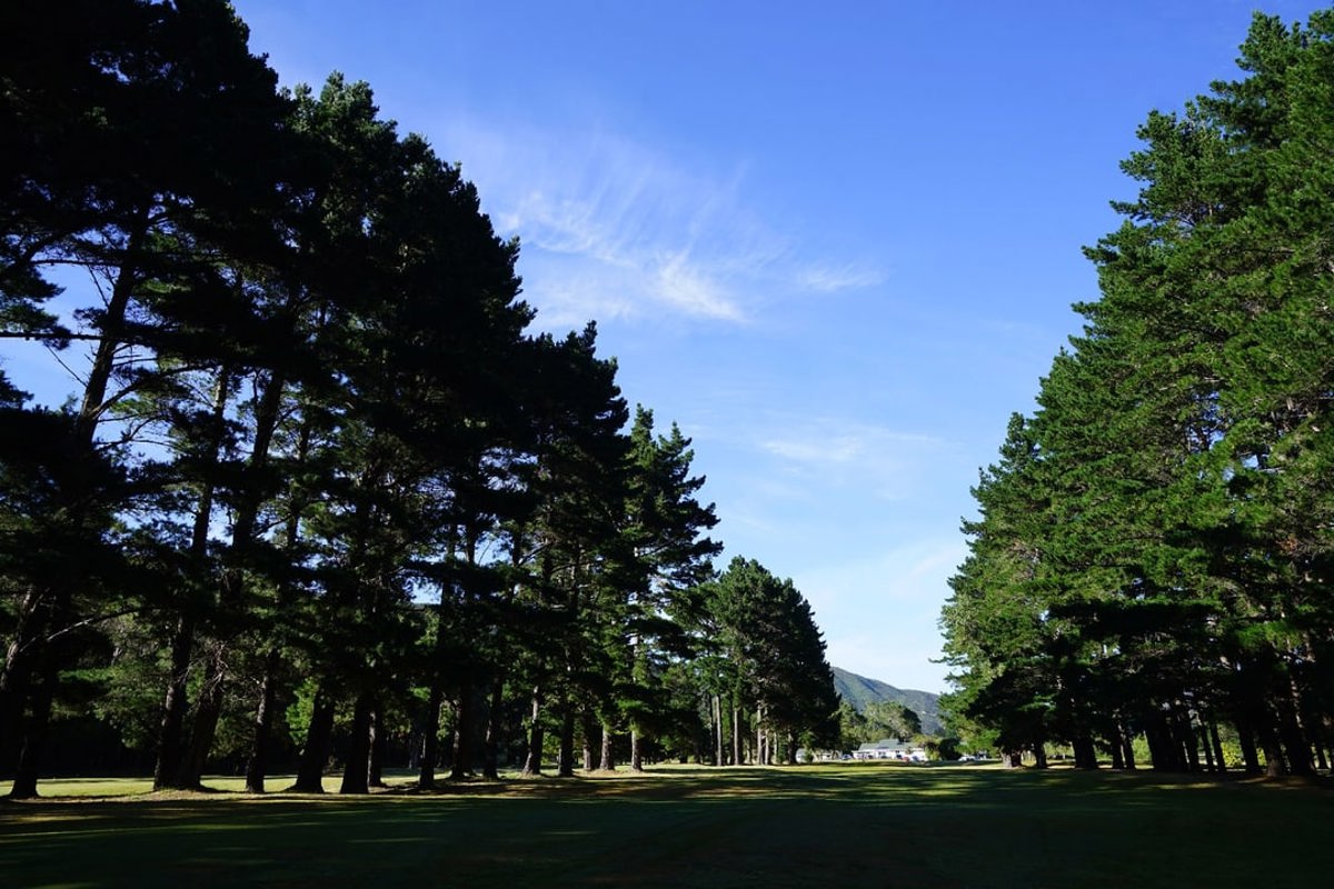 Wainuiomata 2