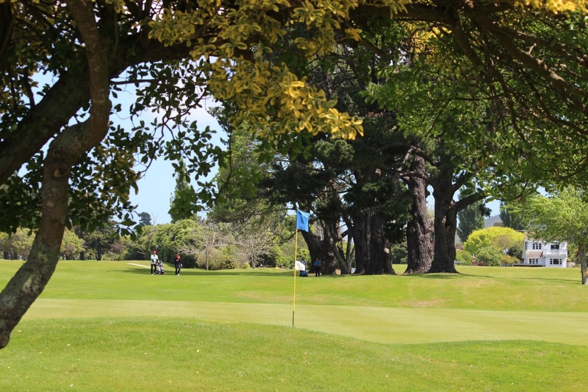 Manor Park 1