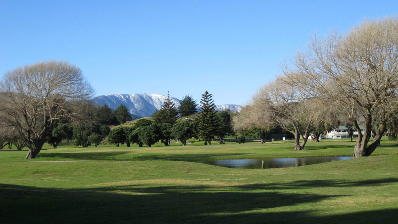 Waikanae 4