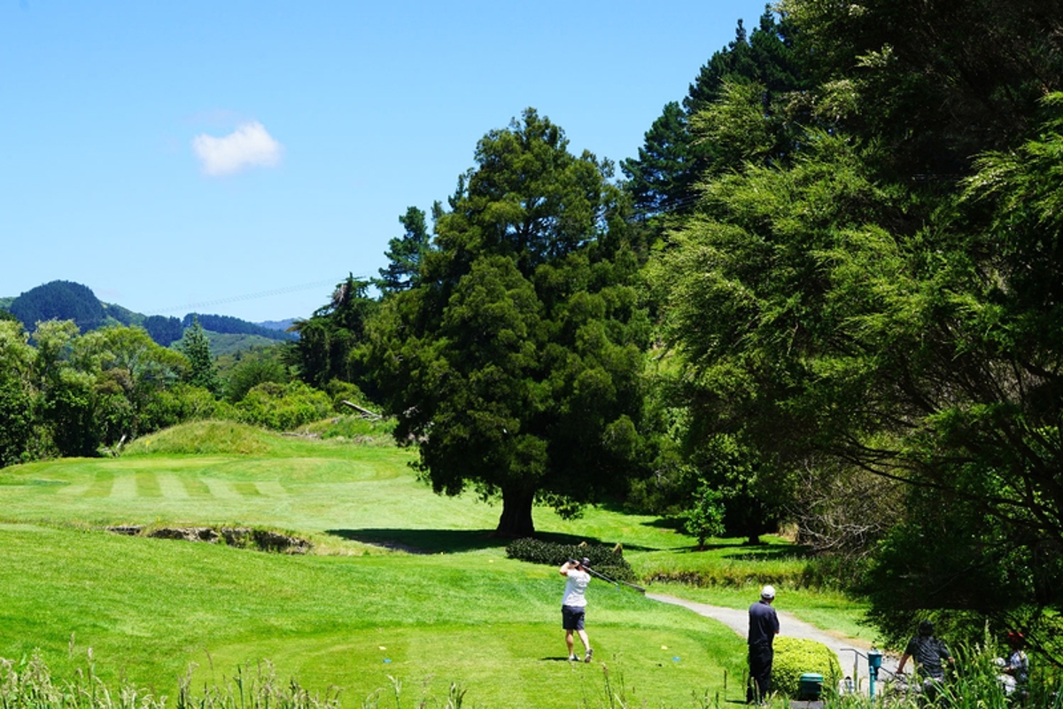 Kapiti 1