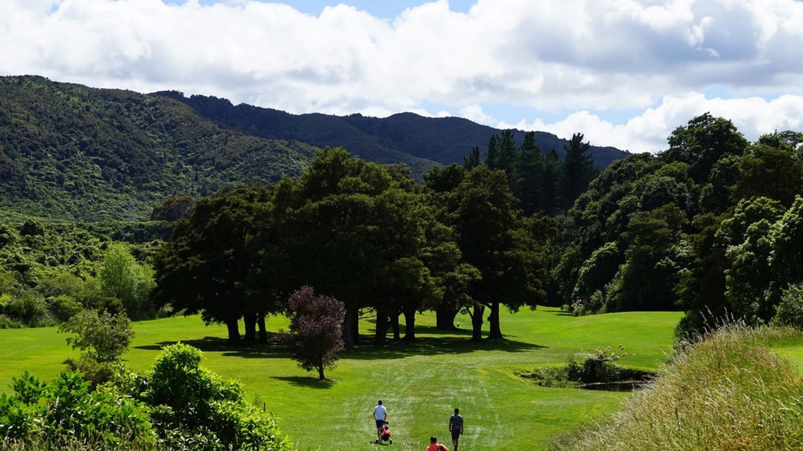 Te Marua 4
