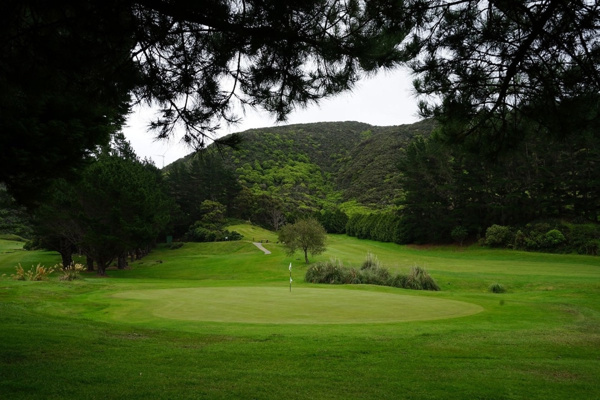 Karori 2