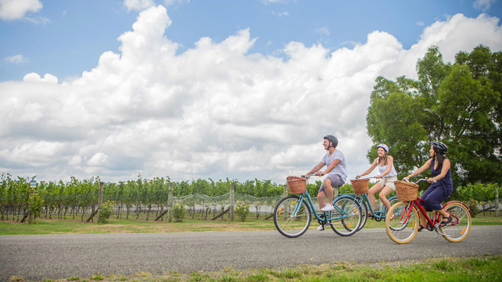 Explore 1 / See & Do 1