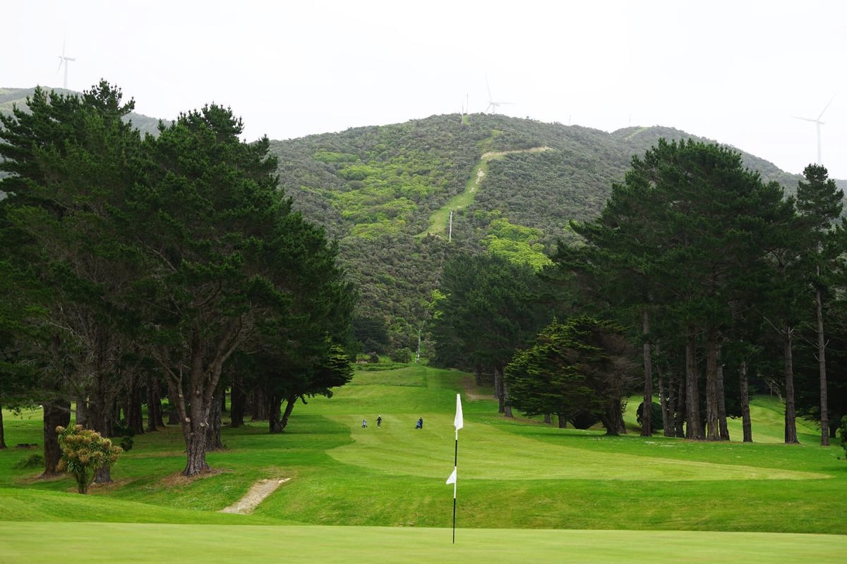 Karori 1