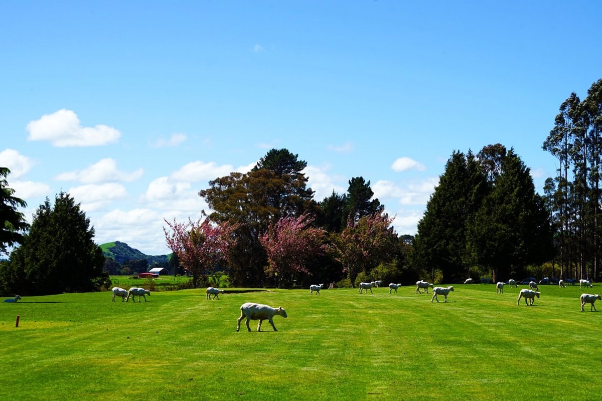 Eketahuna 2